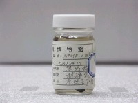 藏品(藍黑新雀鯛)的圖片